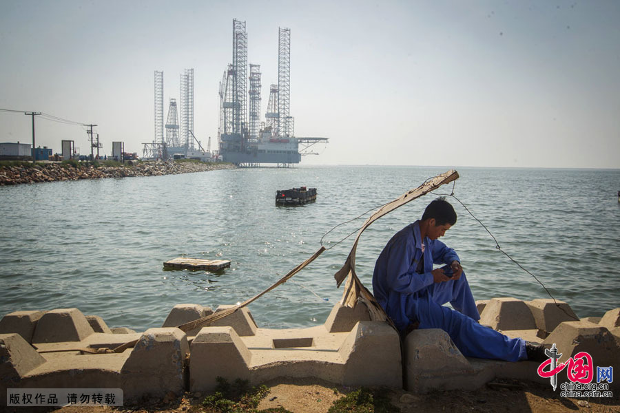 近海渔殇——四大传统渔场名存实亡[组图]