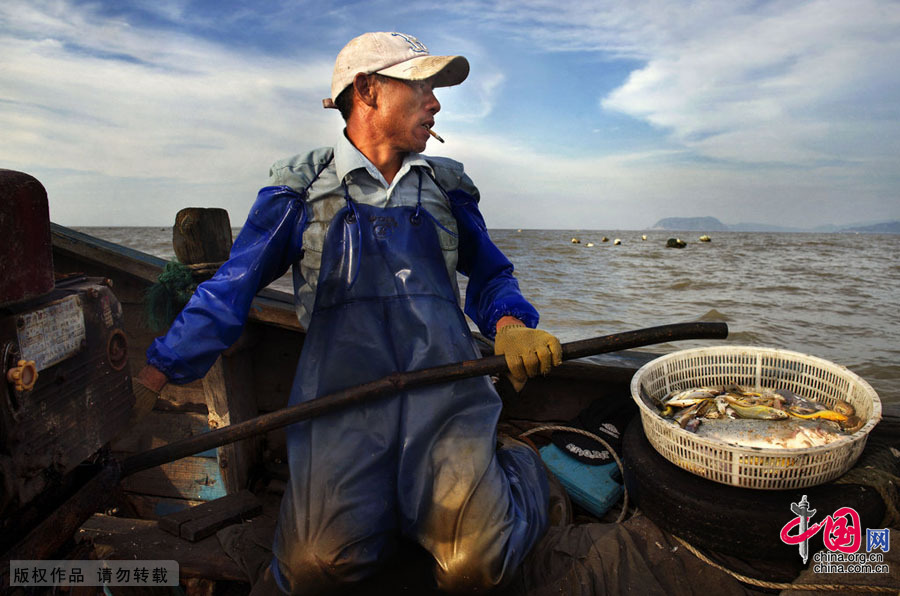 近海渔殇——四大传统渔场名存实亡[组图]