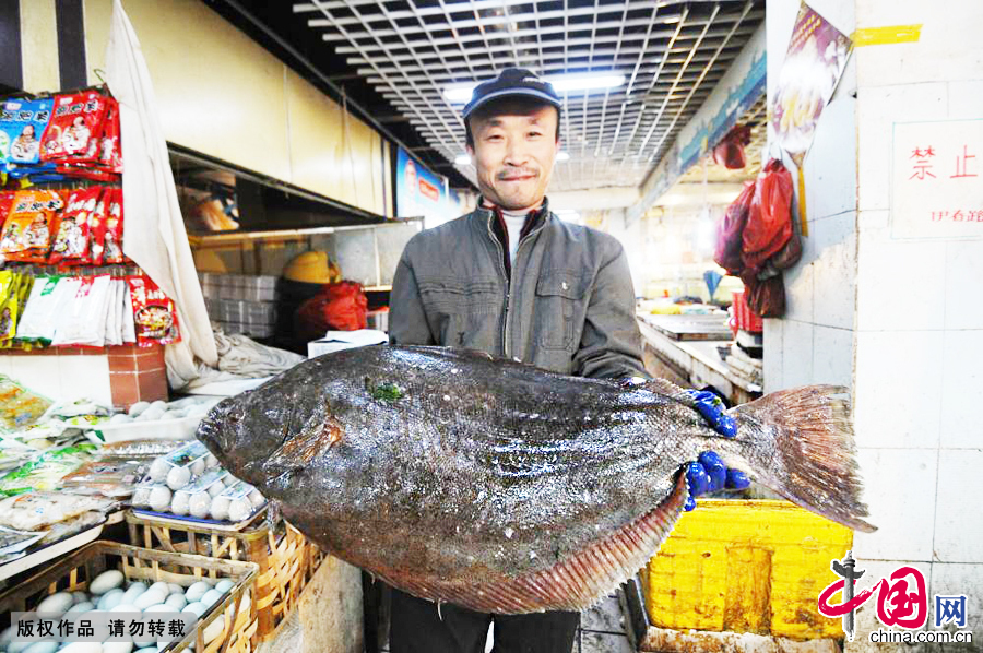2014年12月14日，店员展示胶州渔民同时在渤海湾捕获的20多斤重鸦片鱼。 中国网图片库 王海滨摄影
