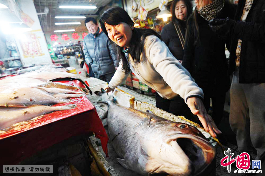 2014年12月14日，围观的市民用手丈量大鱼的体长。中国网图片库王海滨摄影