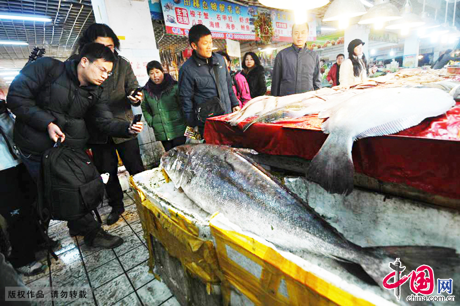 2014年12月14日，市民围观这条不知名的罕见大鱼。 中国网图片库王海滨摄影