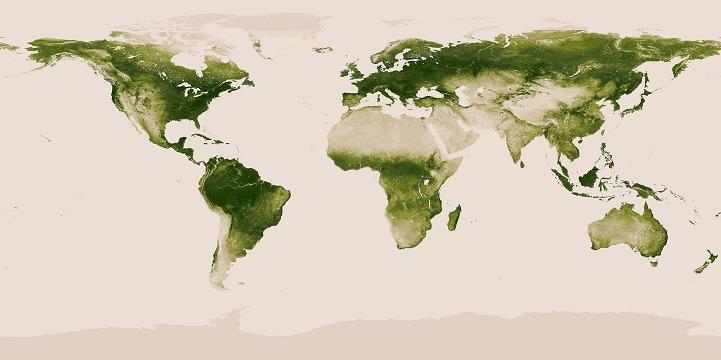 NASA极地轨道卫星捕捉全球植被覆盖情况