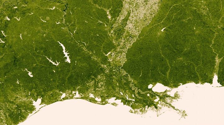 NASA极地轨道卫星捕捉全球植被覆盖情况