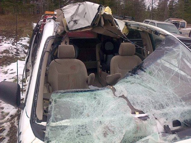 美駝鹿撞碎車窗衝進車內當場死亡 司機僅受輕傷
