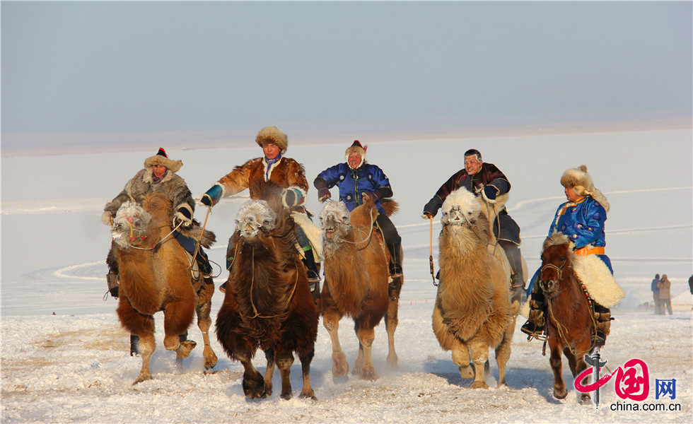 2014中国冰雪那达慕:赛骆驼