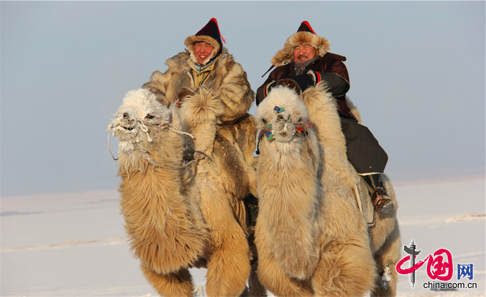 2014中国冰雪那达慕:赛骆驼的牧民