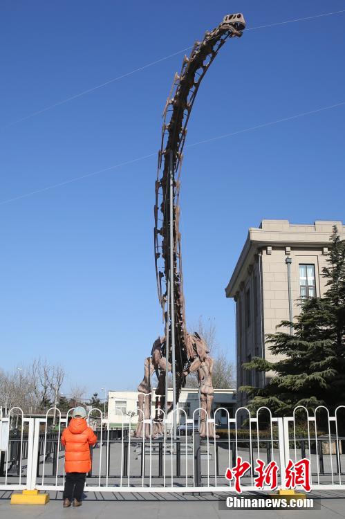 世界最大恐龍復原骨架亮相北京