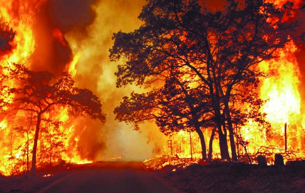 澳大利亚山火火势减弱