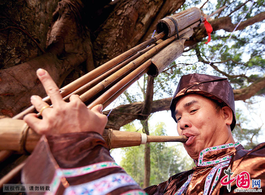 在广西柳州市三江侗族自治县梅林乡梅林村，一名侗族同胞在吹奏芦笙。中国网图片库 谭凯兴/摄