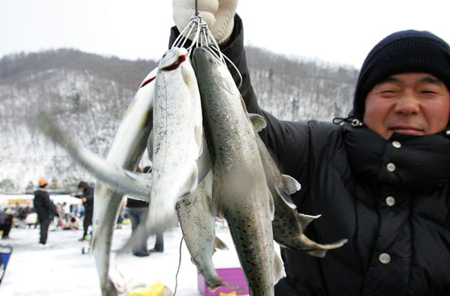 韩国“山鳟鱼冰雪节”开幕 15万游客冰上垂钓