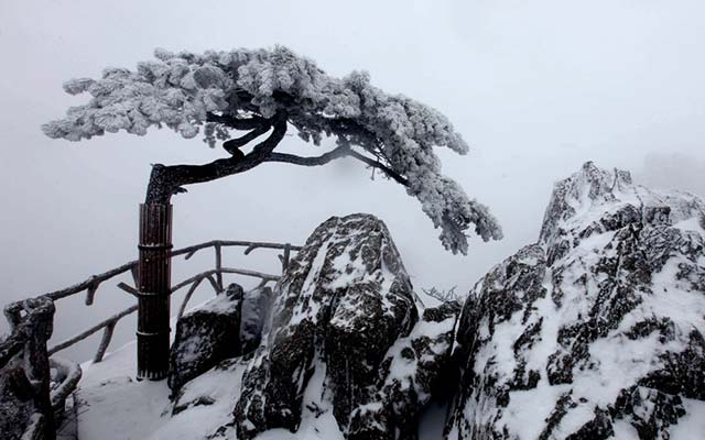 标题图片