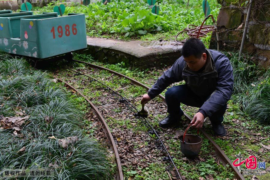 重庆幼儿园小火车如“迪士尼”跑28年