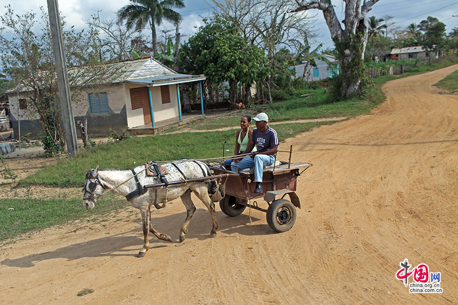 马车行驶在古巴乡村大地间