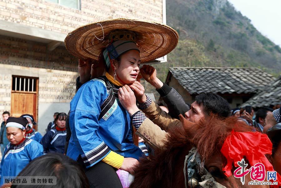 新娘騎在馬上，長者為其戴上傳統的斗笠，失傳二十多年的騎馬哭嫁的傳統婚禮儀式習俗得以重現。中國網圖片庫 盧維/攝