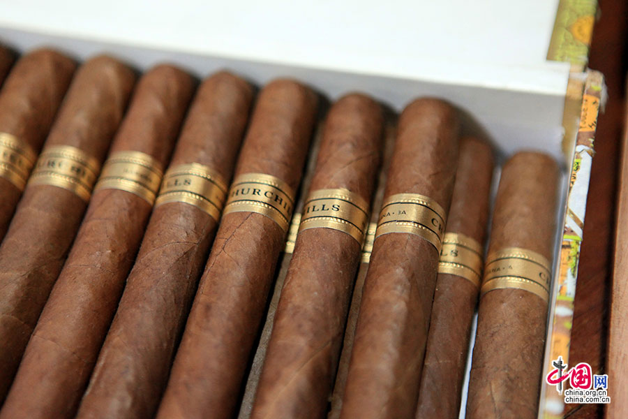 烟盒中的古巴雪茄