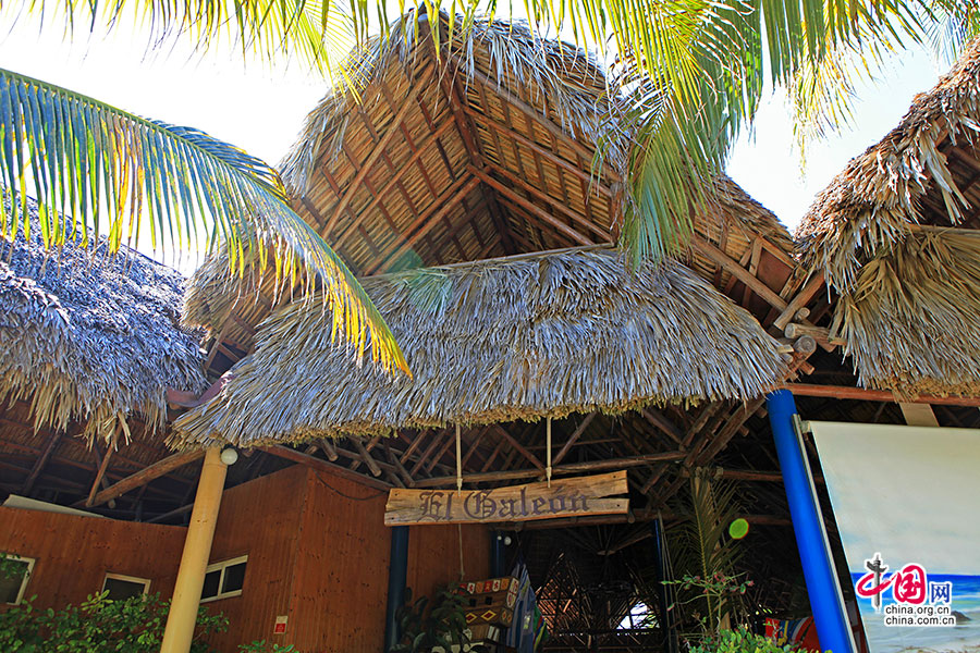 椰林下的自助餐厅