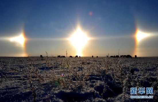 内蒙古:天空出现三个太阳奇观