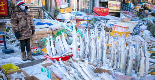 探秘中国最东市场 冻鱼倒插地上卖