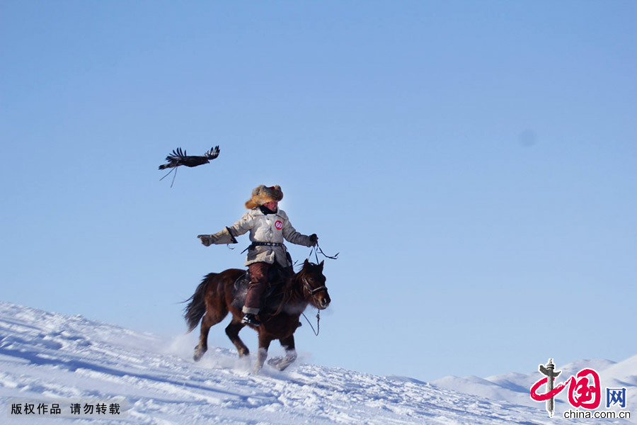 猎鹰是哈萨克族特有的传统文化遗产。图为一名骑者纵马飞奔，猎鹰飞驰而下。中国网图片库 朱新峰/摄