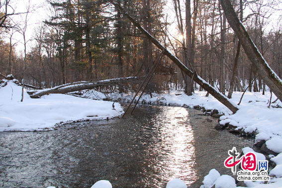 再推重磅新品,农夫山泉以何领跑中国水业?