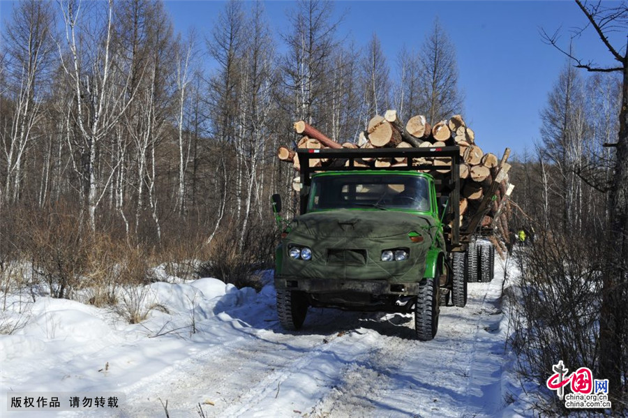 3月2日， 刘国昌和队友们将原木准备运输至山下的储木场。中国网图片库 王伟/摄