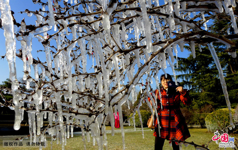 3月10日，在北京石景山雕塑公園一草坪處呈現的“冰景觀”。中國網圖片庫 李文明/攝