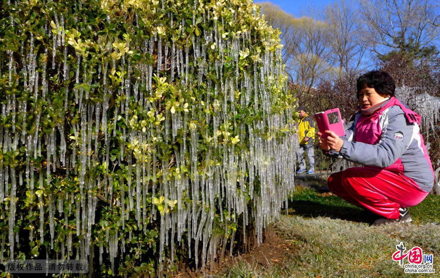 3月10日，在北京石景山雕塑公园一草坪处呈现的“冰景观”。中国网图片库 李文明/摄