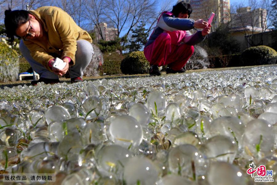 3月10日，在北京石景山雕塑公园一草坪处呈现的“冰景观”。中国网图片库 李文明/摄