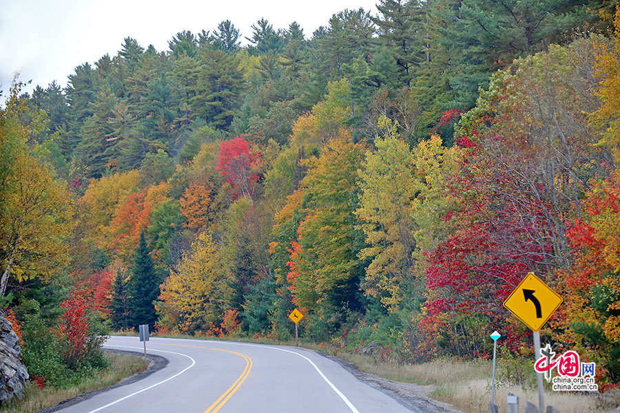 每个十月公路两边被这突如其来的绚烂色彩所覆盖