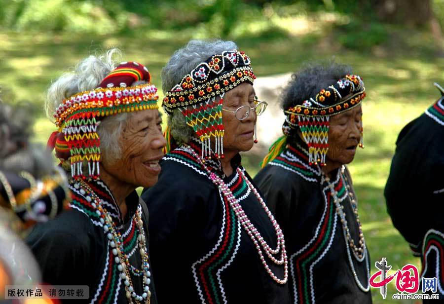 布农族人有着丰富的想象力，在他们的文化体系中小米有灵魂、有五官、可移动，因此对它特别敬重。亦有父粟与子粟之分。父粟有五个耳朵，管理子粟的成长（粟：小米）。