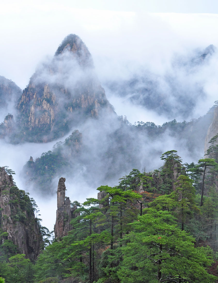 黄山雨后云雾缭绕如仙境 美丽景色让人流连忘返