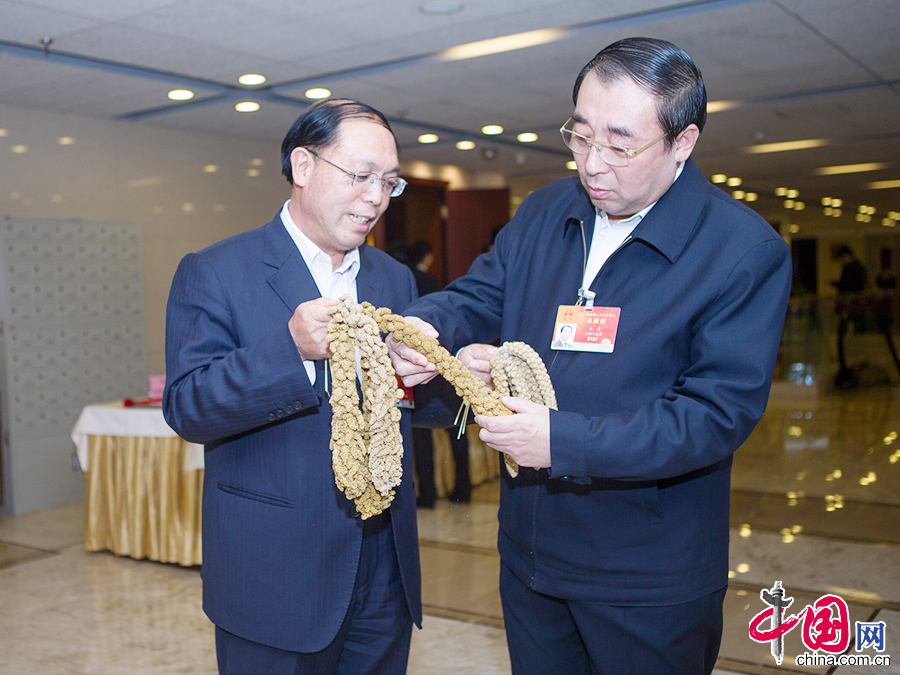 3月10日下午，河北團小組會之前，九三學社中央專職副主席叢斌（右）向趙志海代表（左）了解雜交穀子相關情況。 中國網記者董寧攝影