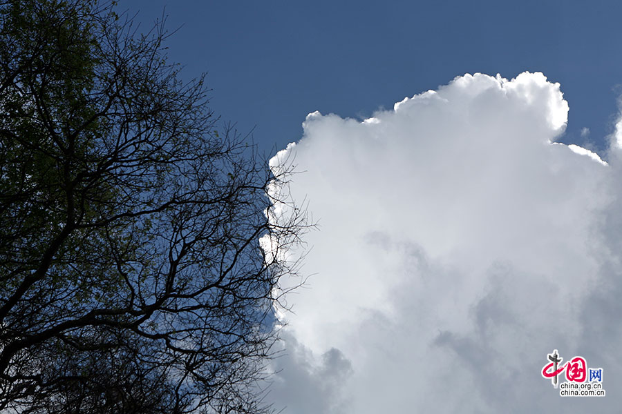 清透的雲