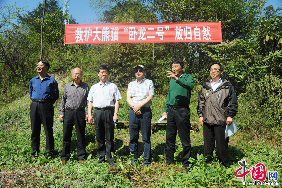 4月29日，從野外救護並恢復健康的大熊貓“臥龍二號”放歸自然儀式在臥龍國家級自然保護區耿達鎮天台山舉行，圖為放歸活動現場。