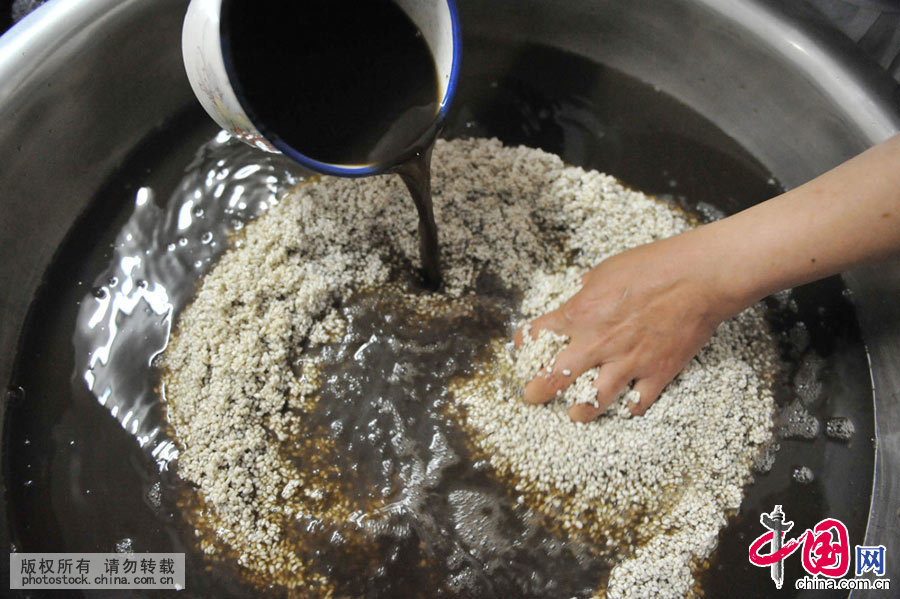 将乌饭叶的汁液倒入糯米中进行浸泡，待糯米被汁液完全浸泡成黑色后就可以上蒸笼蒸熟，制作乌米饭。中国网图片库 胡剑欢/摄