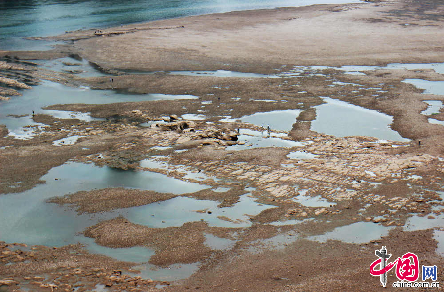 2015年5月5日，嘉陵江重慶段水位快速回落，江面嚴重縮水，大片江灘裸露，不少市民在江中捕魚。 中國網圖片庫 劉向龍攝影