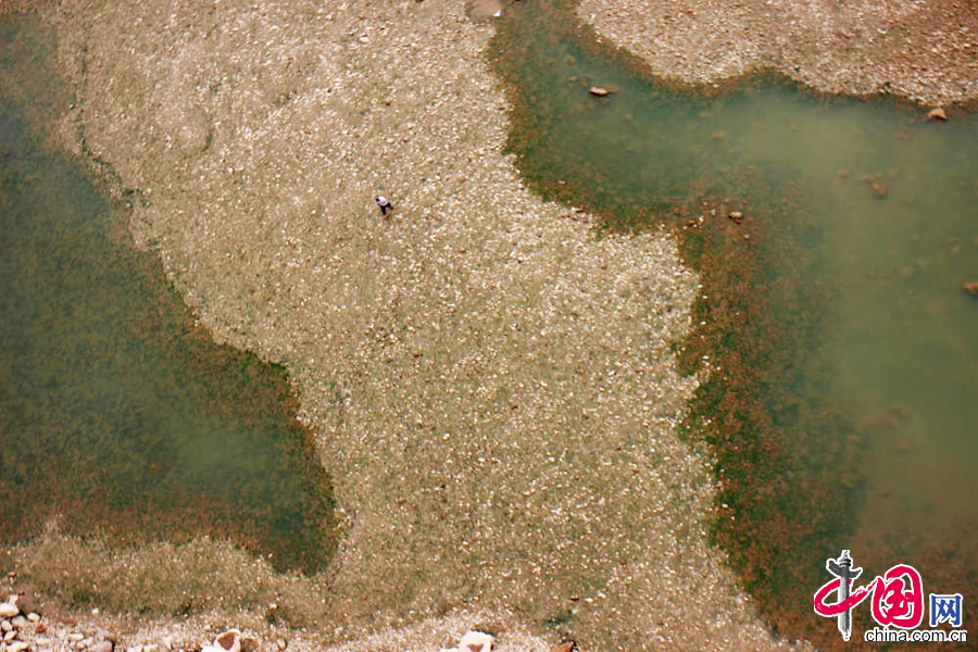 2015年5月5日，嘉陵江重慶段水位快速回落，江面嚴重縮水，大片江灘裸露，不少市民在江中捕魚。 中國網圖片庫 劉向龍攝影