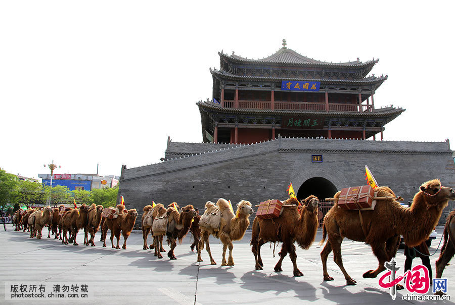  5月5日，一队由136峰骆驼组成的茶商驼队从甘肃张掖钟鼓楼前走过。驼队由136只高大威猛的“沙漠之舟”骆驼、8辆古香古色的马车、数十辆宣传车、100余位丝路英雄组成。中国网图片库 张渊/摄