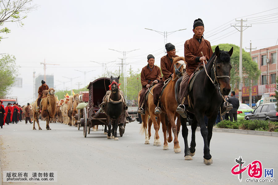 驼队由136只高大威猛的“沙漠之舟”骆驼、8辆古香古色的马车、数十辆宣传车、100余位丝路英雄组成。中国网图片库 张渊/摄
