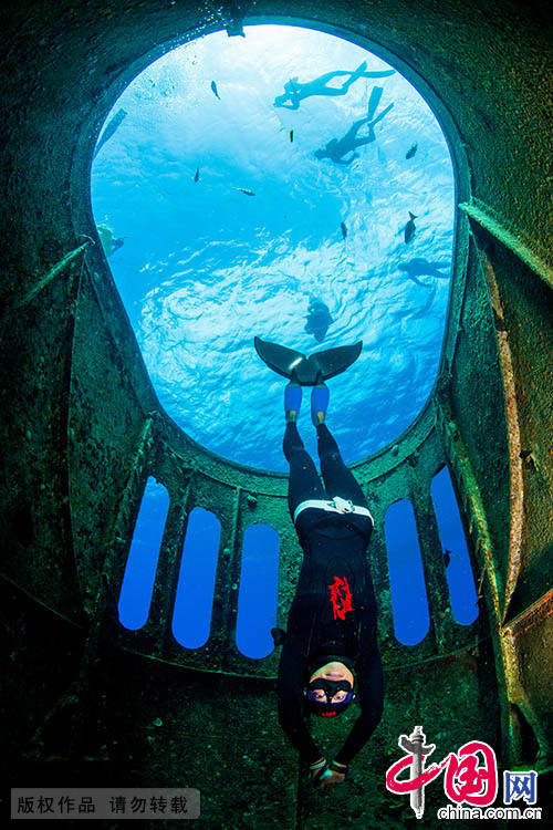  当日时间5月11日，第六届自由潜水比赛（Deja Blue 6）在加勒比海的大开曼岛开赛。图为中国选手陆文婕在比赛中。 Courtney Platt摄