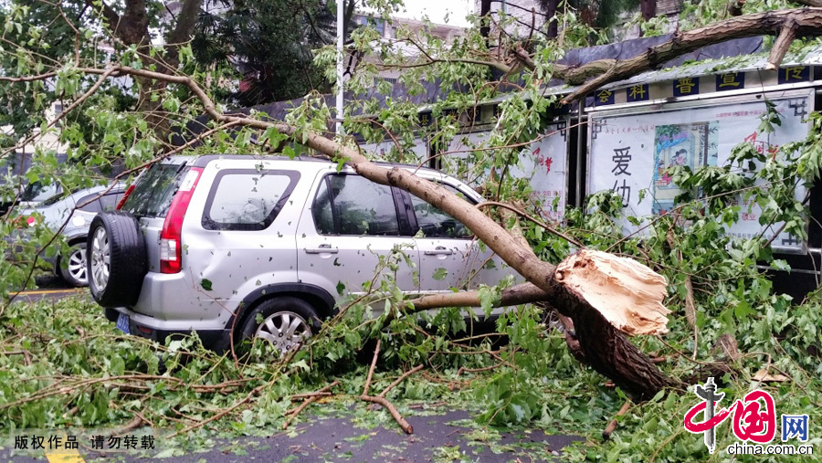 5月19日20时至21时许，贵州镇宁自治县城关镇、六马镇等9个乡镇25个村遭受了局部强风、强降雨及冰雹袭击。