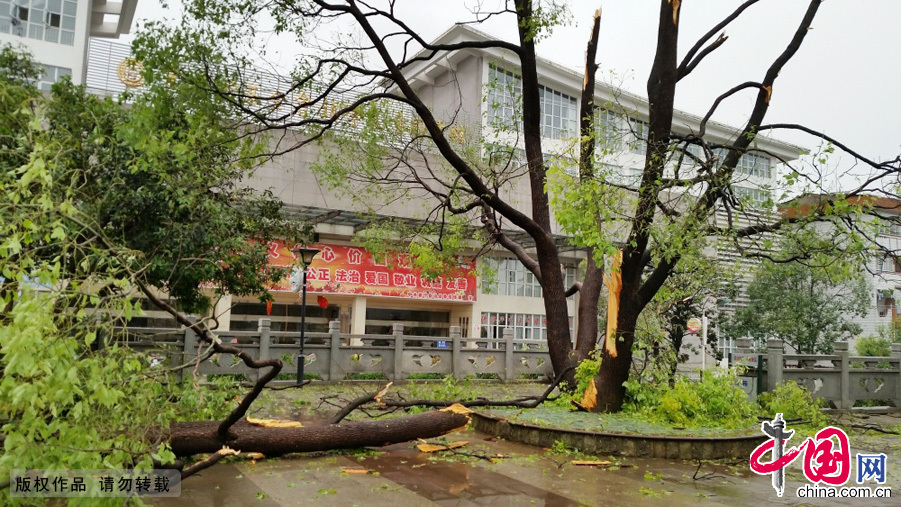 5月19日20时至21时许，贵州镇宁自治县城关镇、六马镇等9个乡镇25个村遭受了局部强风、强降雨及冰雹袭击。