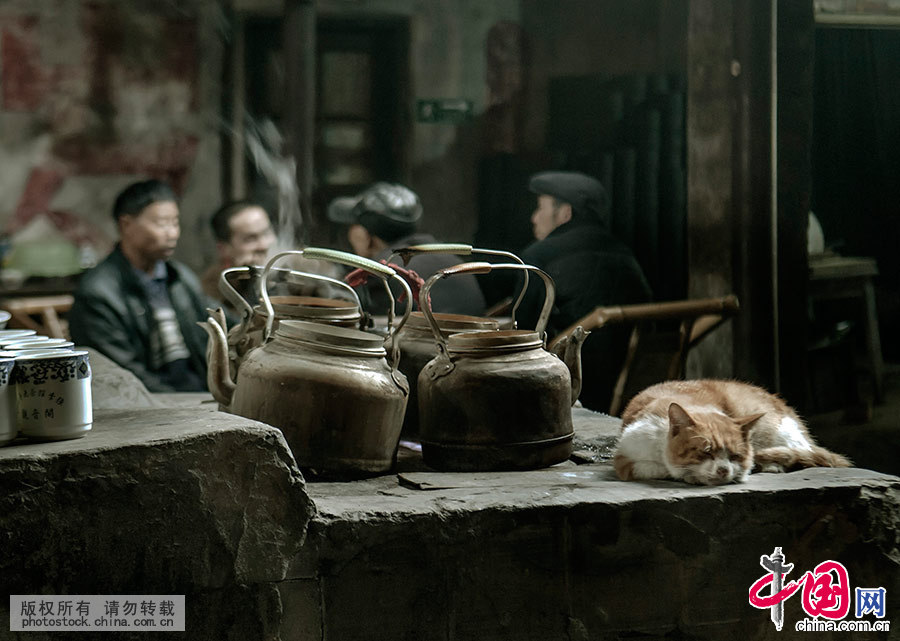 每天，这里都要烧上百壶开水用来沏茶，小猫咪喜欢在暖烘烘的灶台上睡懒觉。中国网图片库 刘国兴/摄 