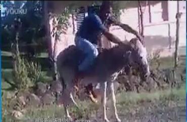 非洲小哥真会玩 毛驴当作摩托骑