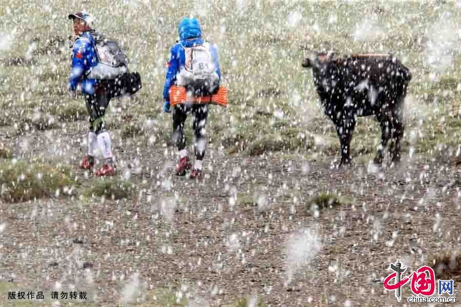5月31日，受冷空氣影響， 當日新疆哈密北部草原上出現了風雪降溫天氣，夏日的草原大雪紛飛，給夏日的草原披上銀裝。圖為5月31日，風雪中戶外徒步愛好者在新疆哈密北部飛草原上徒步。中國網圖片庫 蔡增樂攝