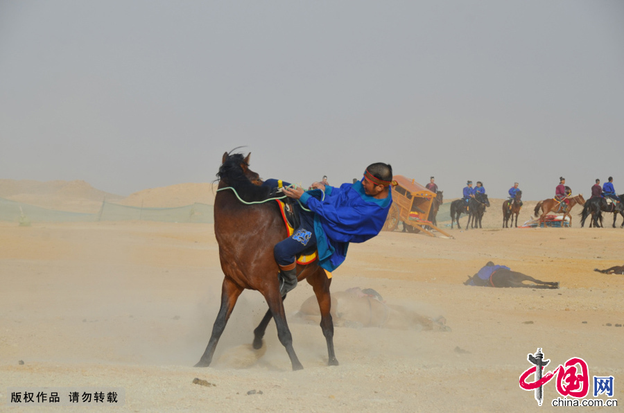 月31日，一名骑手和马匹共同倒地。中国网图片库 郭鹏杰摄