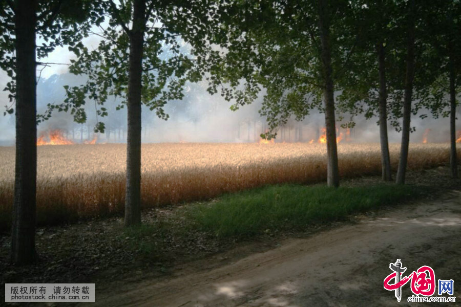 2015年6月9日上午10时许，山东巨野县龙堌镇、太平镇两大乡镇的黄小麦正在燃烧，远处浓烟四起。（手机拍摄）中国网图片库