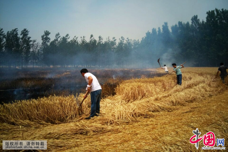 2015年6月9日上午10时许，山东巨野县农民正在救火。（手机拍摄）中国网图片库