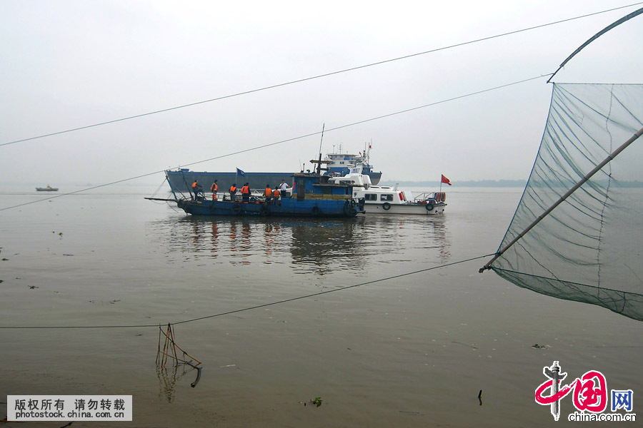 6月9日，當地海事、漁政及長航公安等多部門在長江搜尋“東方之星”遊船上的失蹤人員。中國網圖片庫 洪永林攝