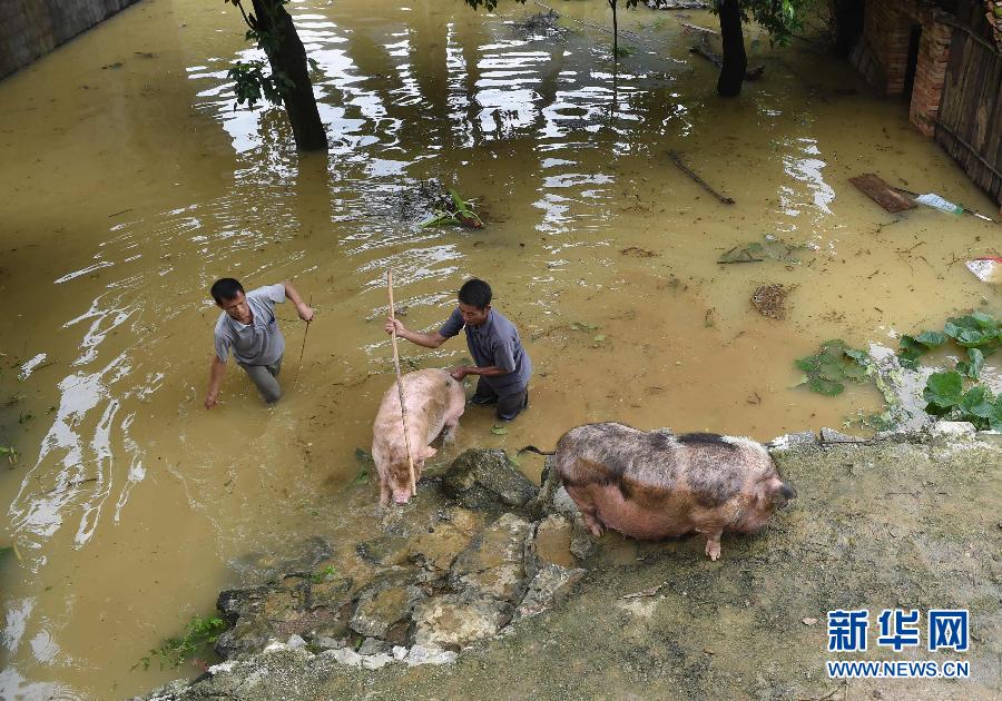（生態）（1）廣西多地洪澇災害致45萬餘人受災 3人死亡5人失蹤